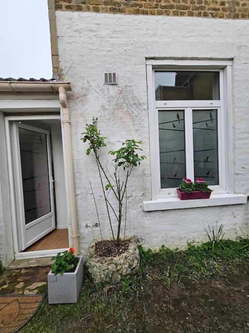 Avec Jardin Rosendael Proche Dunkirk