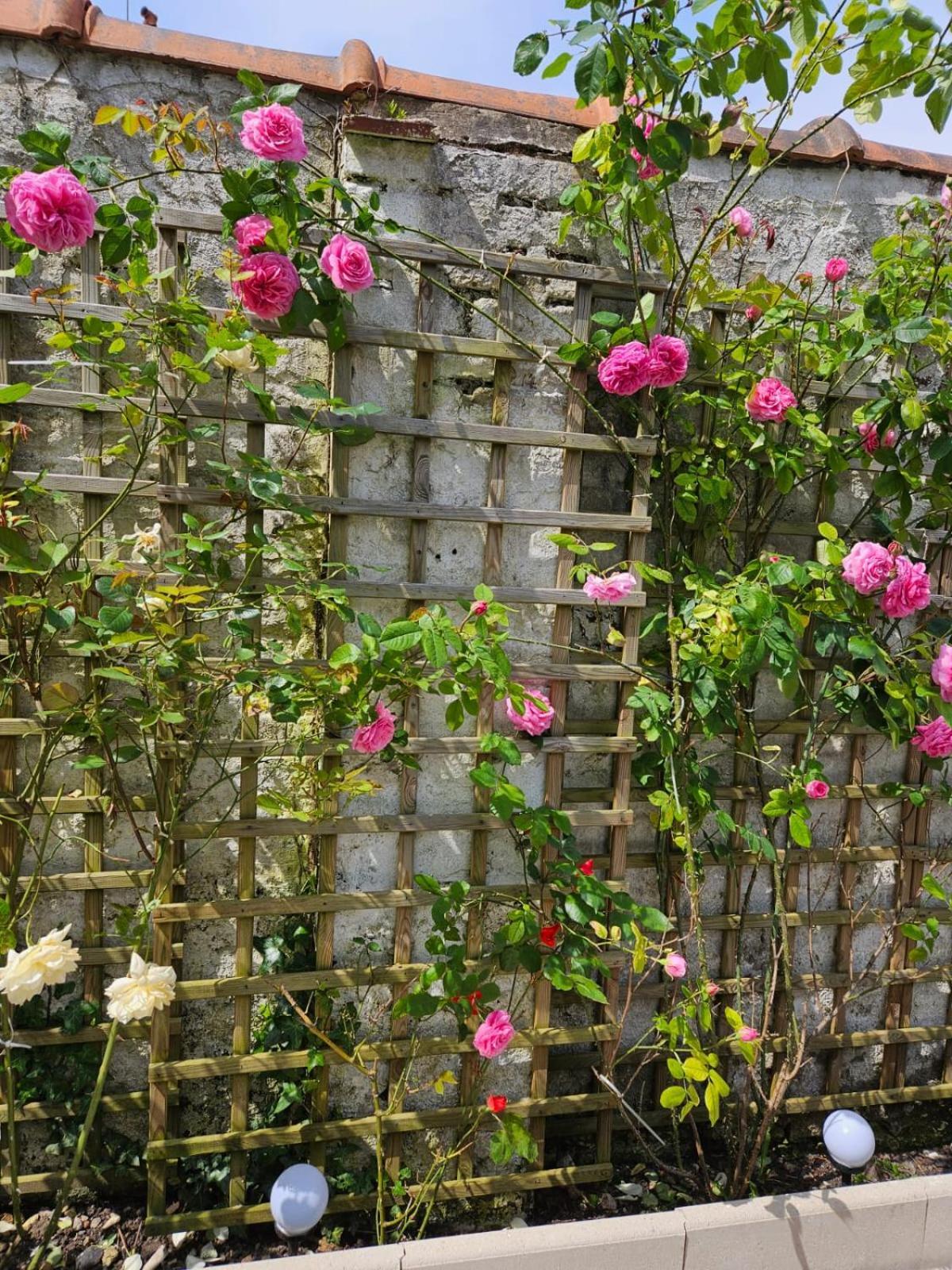 Avec Jardin Rosendael Proche Appartement *